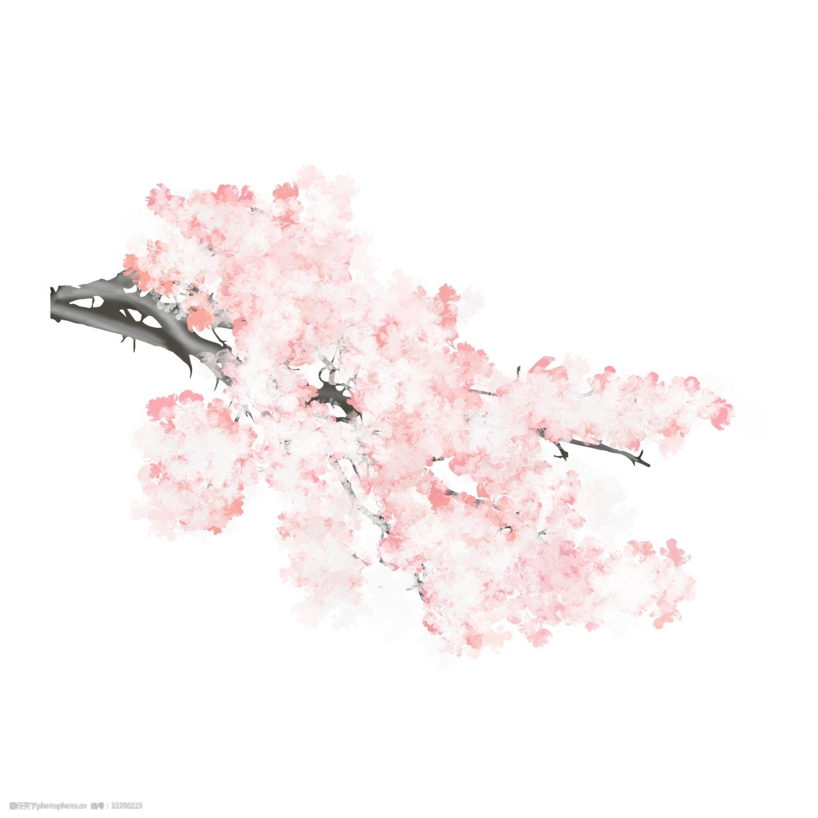 春夏樱花素材 用浪漫诉说季节的故事